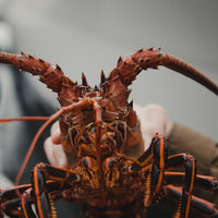 Lobster Flag