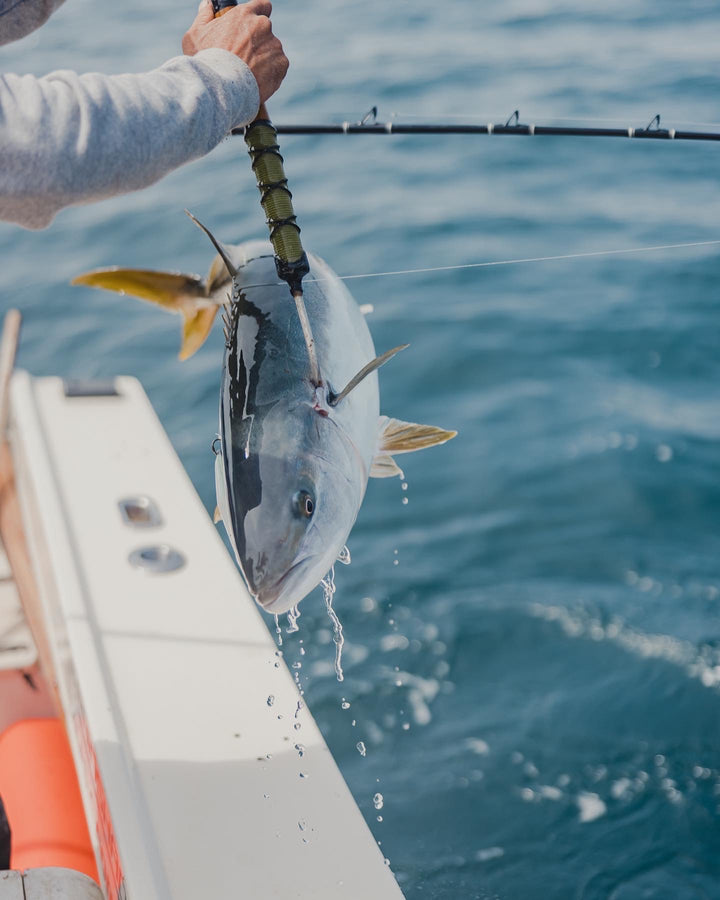 Wild Caught Fish vs. Farm-Raised Fish