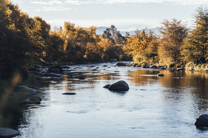 Guidance for Fishing During a Drought