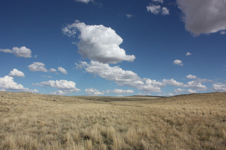 Pronghorn Hunt 2016 | Part 1