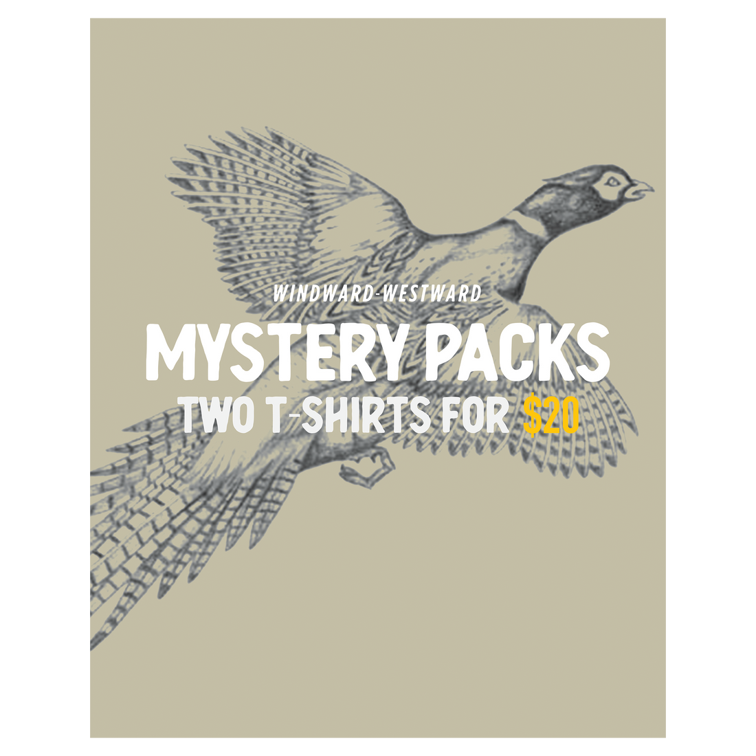 T-Shirt Mystery Pack