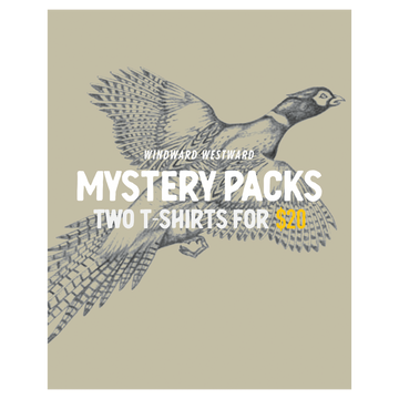 T-Shirt Mystery Pack